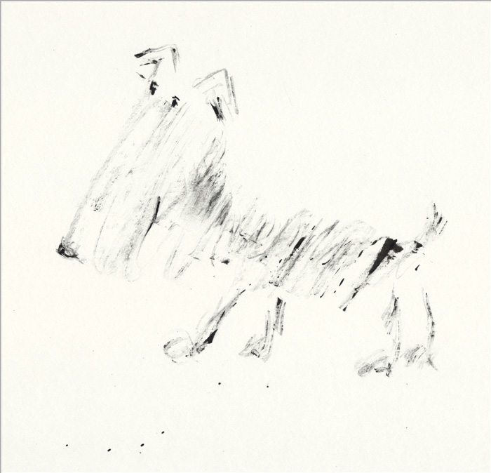Feder, kleiner Schnauzer