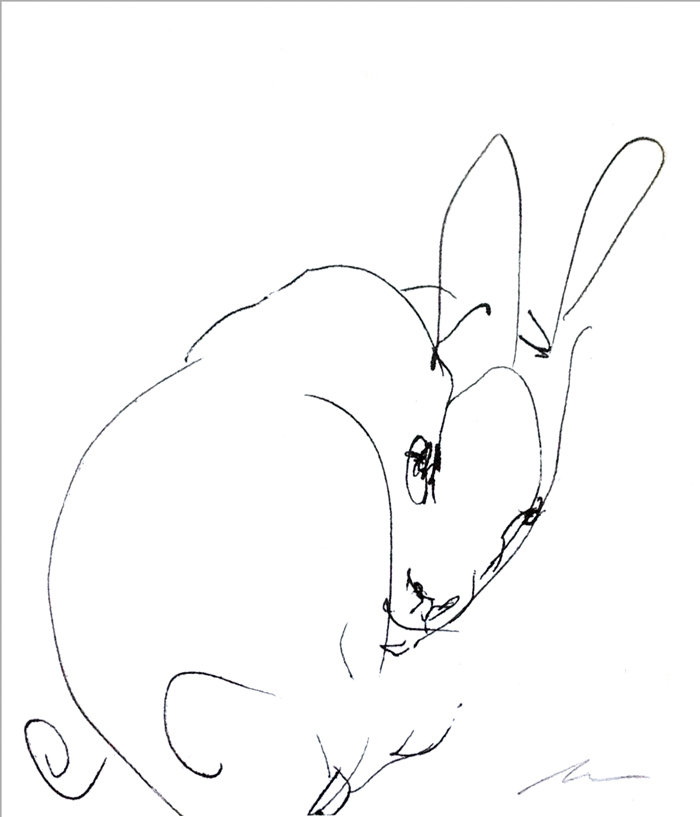 HAse