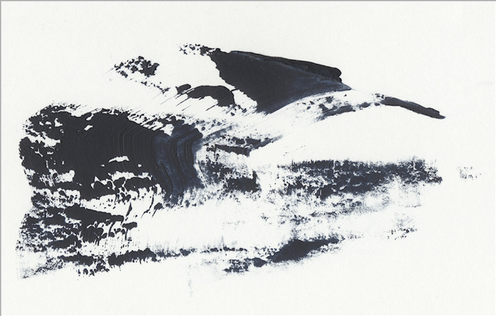 Sturmvogel