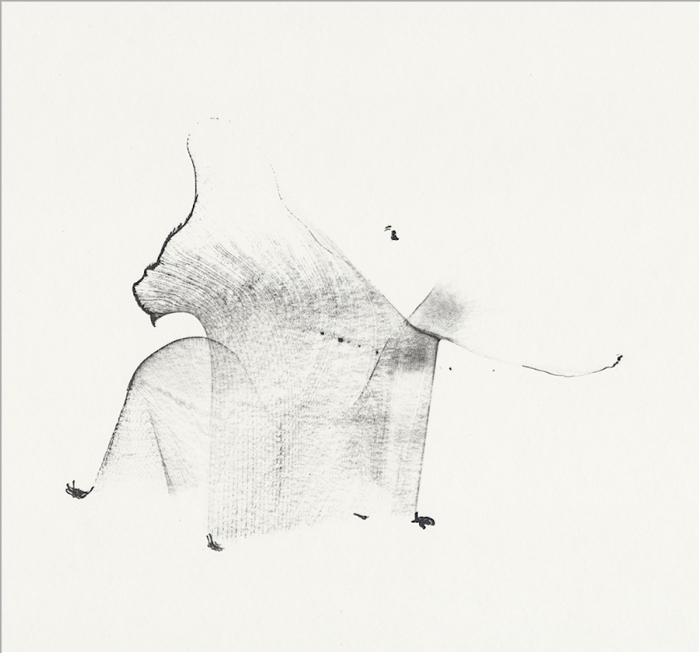 elefant