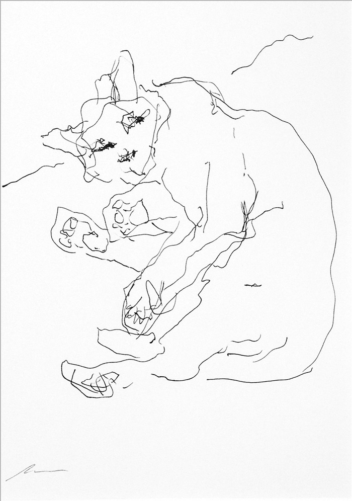 katze_sofa
