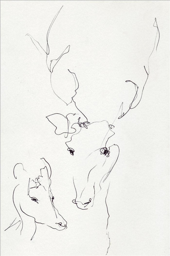 rehe