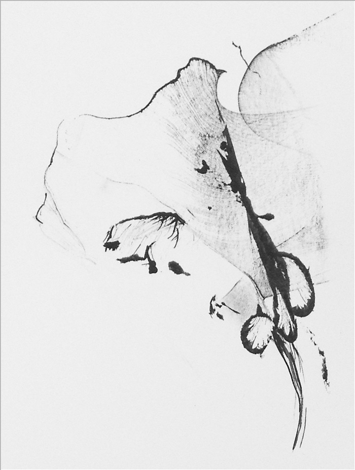 schlaftier